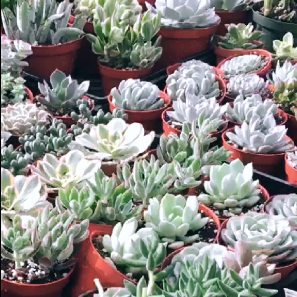 Meet your Posher, Maria - Picture 1 of 1